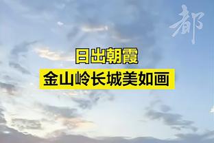 约维奇塞尔维亚母队主席：如他不在NBA打球 今夏希望重新与其签约